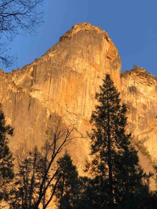 Cozy Cub Cabin, Brand New Home Near Yosemite Mariposa Exterior foto